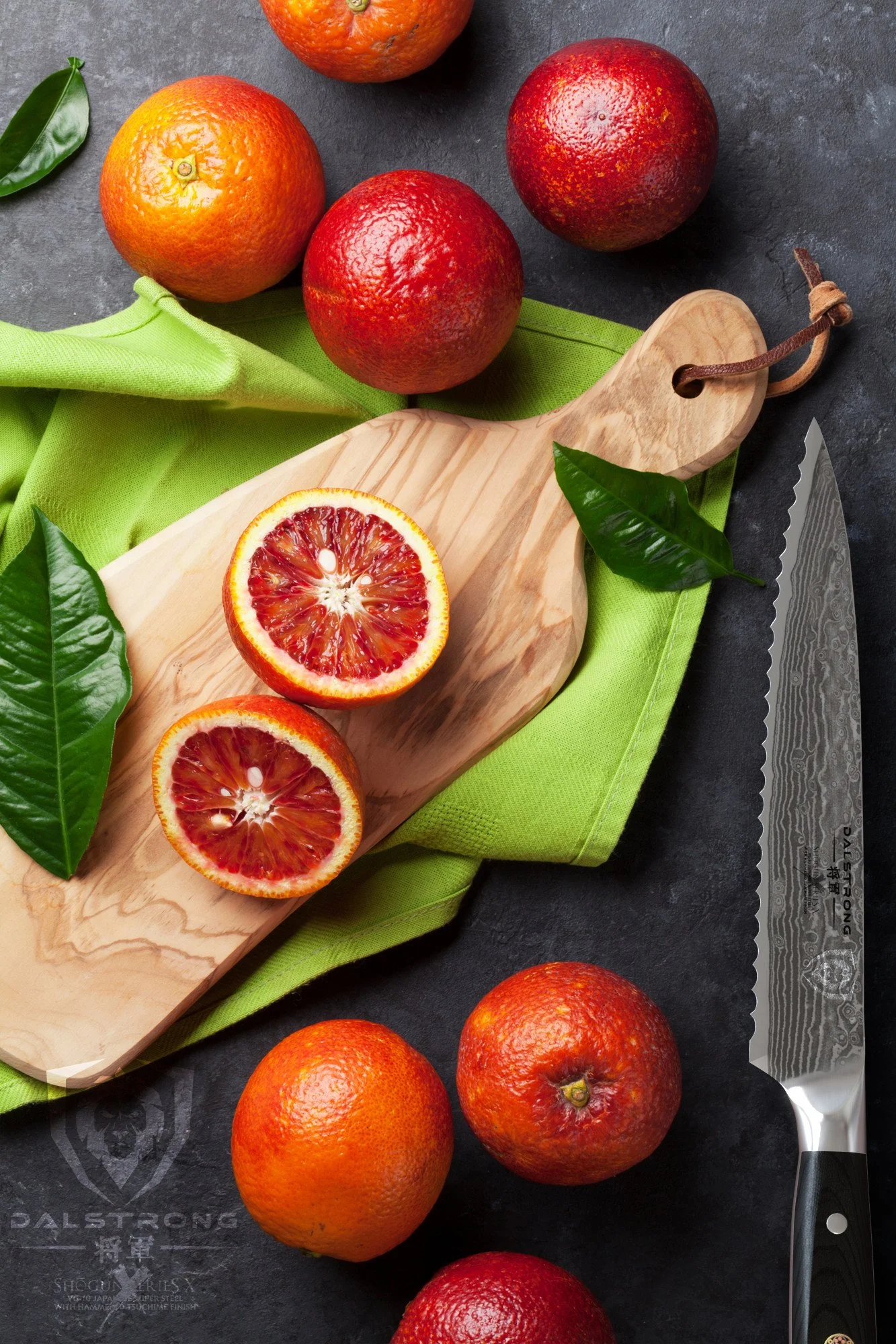 Serrated Utility Knife 6" | Shogun Series X | Dalstrong © - Image 10